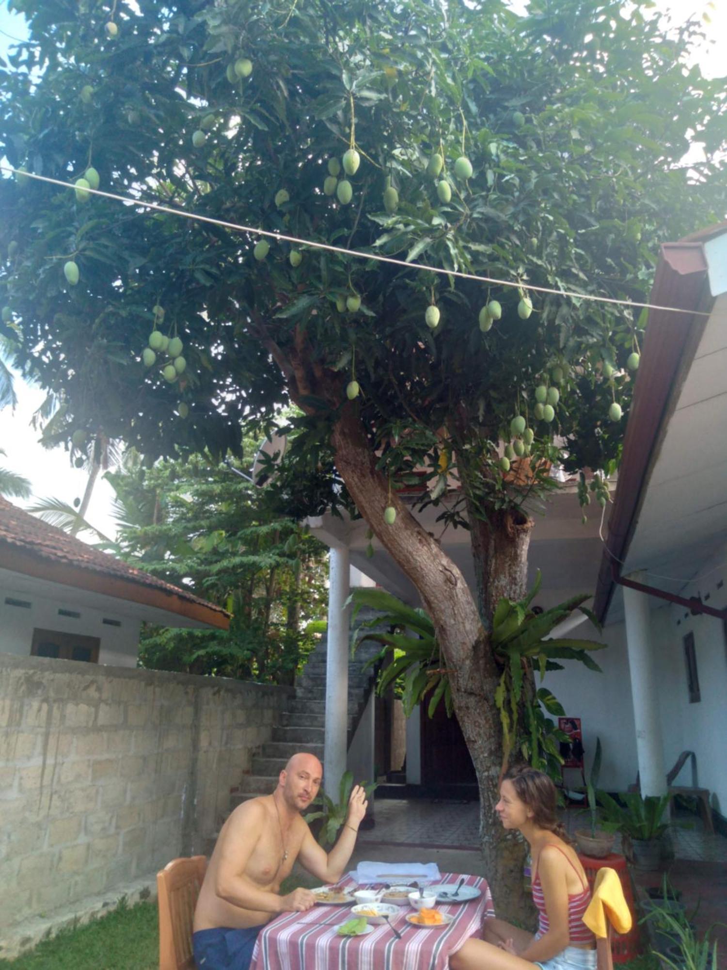 Sanithu Homestay And Villa Galle Zewnętrze zdjęcie